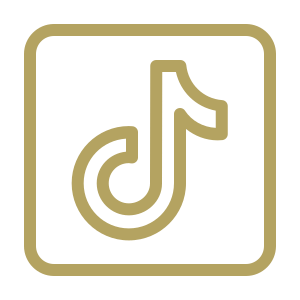 icons8-tiktok-300