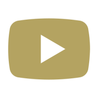icons8-youtube-300 (1)