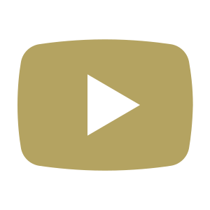 icons8-youtube-300 (1)